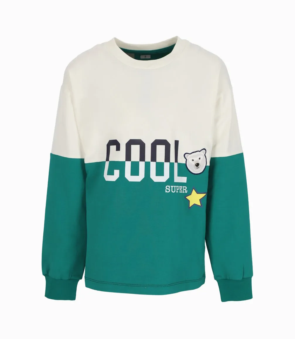 Polera niño cool